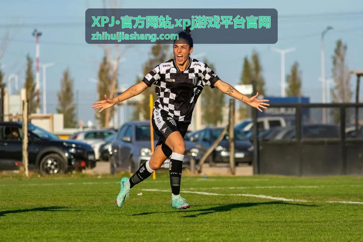 XPJ·官方网站账号安全说明