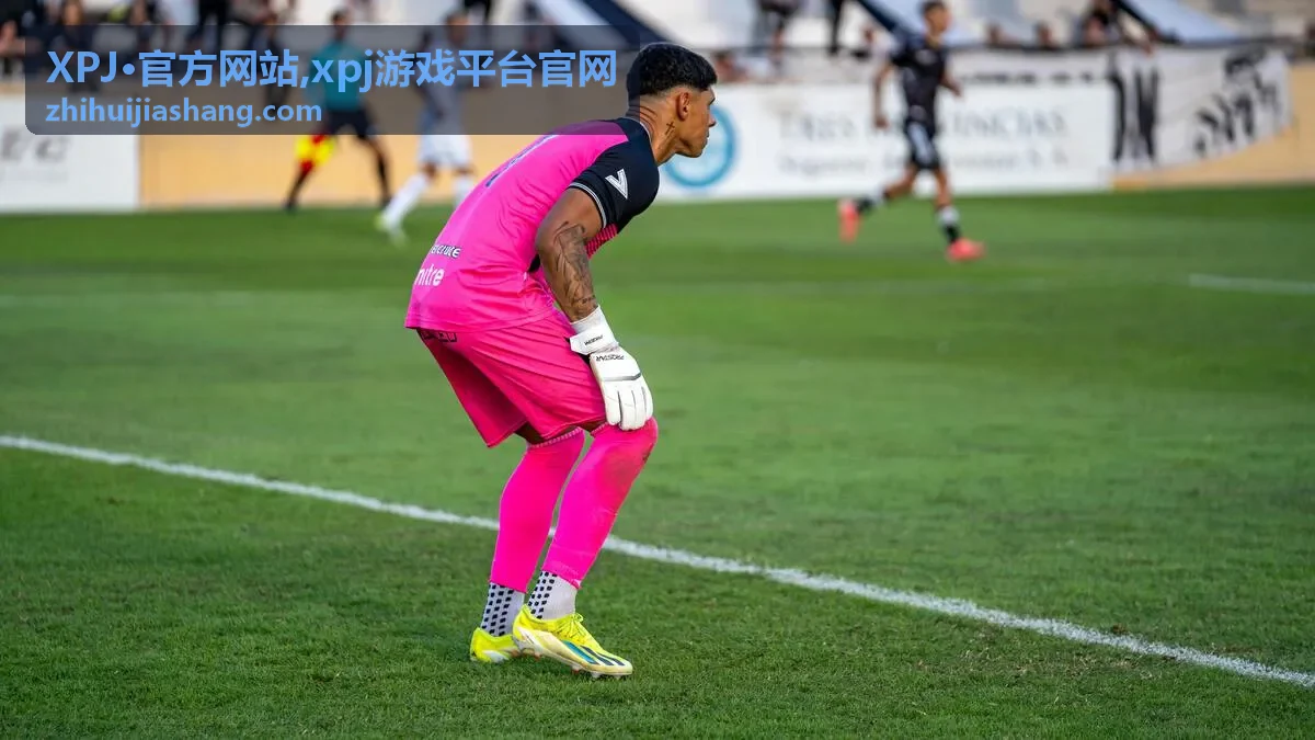 XPJ·官方网站平台服务说明封面