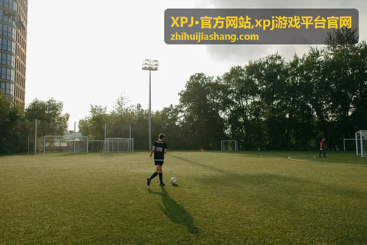 xpj游戏平台官网访问说明精选内容